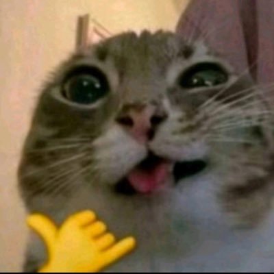 svendeadlysinss's profile picture. male | 24 y.o | 173cm