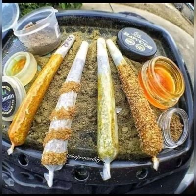 hilalchoukry0's profile picture. la nuit est sombre est plein de terreur