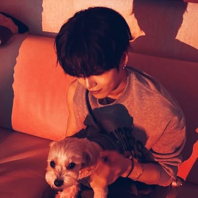 hibaabibaa's profile picture. 