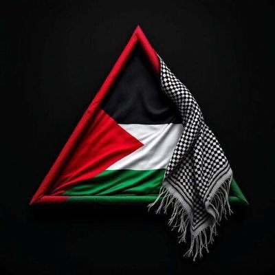 TamerTrack27556's profile picture. Prayers go further than we know — staying hopeful 🇵🇸