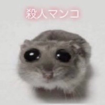 HMNKU_iei's profile picture. フォロー非推奨😲依頼停止中│https://t.co/qYYTR4Fboe