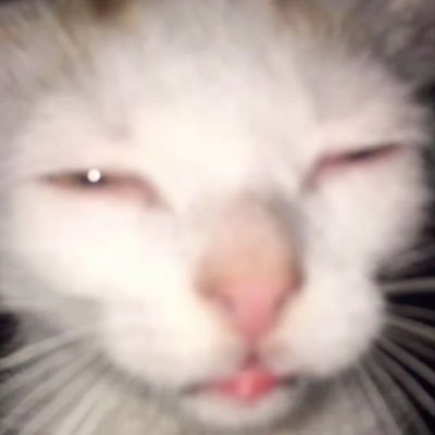 CharlboyCoin's profile picture. 