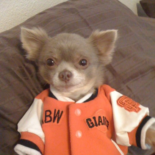 bobert123456789's profile picture. 