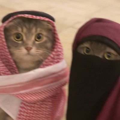 84_Eldrift's profile picture. @Eldr1ft Founder