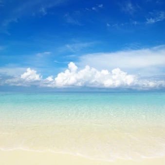 kittygang04's profile picture. fan account for BTS💜 헤더: 미니찜니 님(@minijimin23) 
늦덕이라 모르는 거 많아요. 둥글게 알려주시면 감사해요 🫶