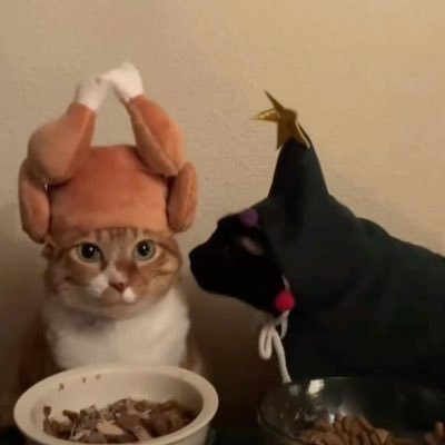 Doofensmirfs's profile picture. Ellie / SERIOUS enquiries only