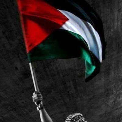 looloperr's profile picture. hope and courage for every innocent life 🇦🇪
