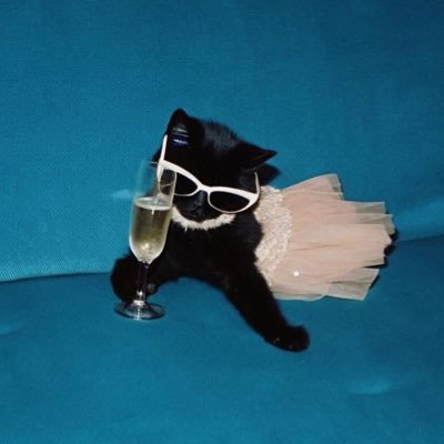 putalittlelumos's profile picture. cats, fast cars and football || finché l’anima balla