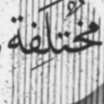 n1_123p's profile picture. دام امن بلادنا وحفظ الله ولاه امورنا اللهم امين