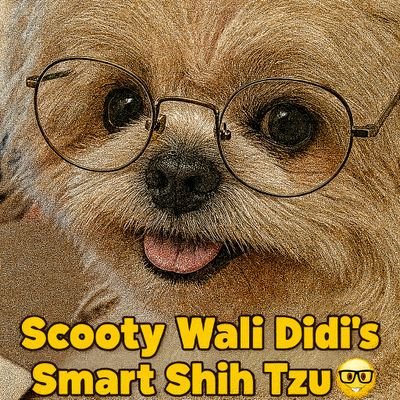 rajiunnithan's profile picture. Abhi, Pogo, Bounie, Missy, Bubbles, Chakri ki Maa 🐶 | Scooty Wali Didi 🚀 Neville se sapne manifest 💍 ₹0→Empire | Chain→Ring | Shih Tzu antics 🔥 #LOAHindi