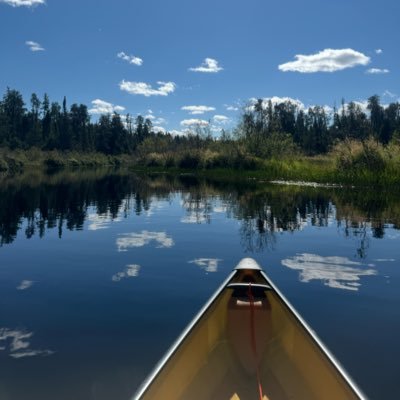 CateMason17459's profile picture. Born in the UK, raised in UK and US but my heart belongs to the True North, Canada.