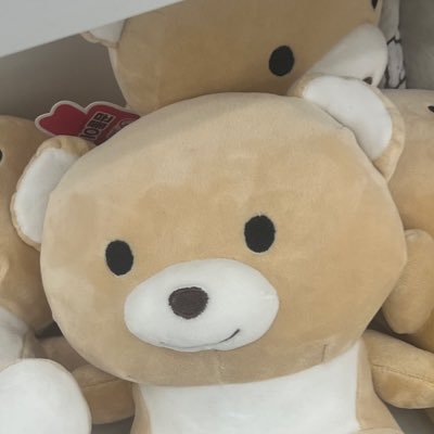 hoithoit0101's profile picture. 