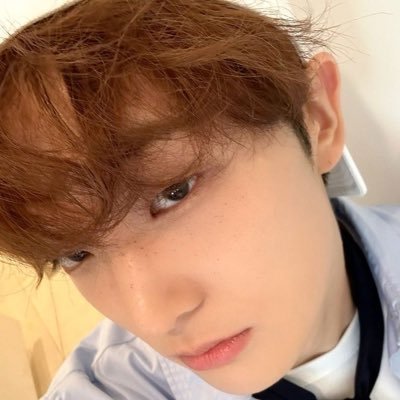 trampampammy's profile picture. 🇳🇬roady~ .ᐟ multistan (I literally listen to anything) .ᐟ i love anime and indie games .ᐟ genshin and hsr~