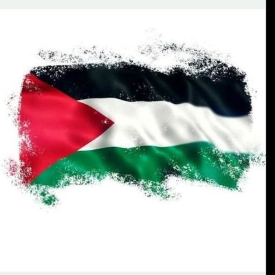 HarborNote's profile picture. Every voice matters — keep speaking truth 🇵🇸