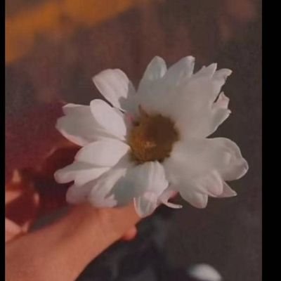 fr6271's profile picture. 