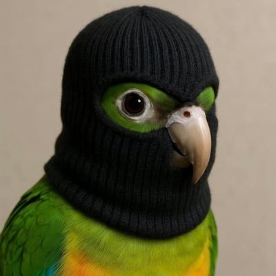 ratsgetscars's profile picture. spurs Celtic kebabs touts out