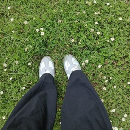 jayaashuklaa's profile picture. 