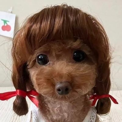 almondcrx's profile picture. 