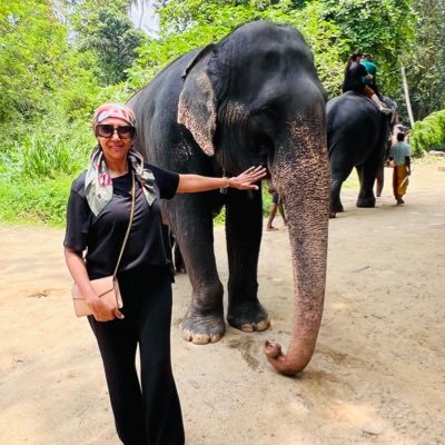 GiGi_Faiza's profile picture. MPH-Nutrition Candidate @NYU  School of Global Public Health | Alternative Medicine || Co-Founder of SGEM | Advocate 4Holistic Health | 🌍 | RT ≠ Endorsement