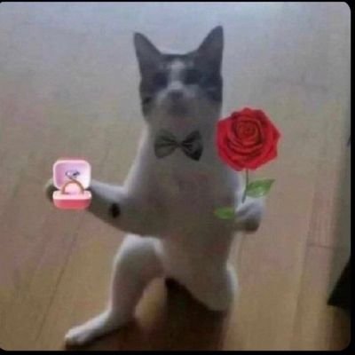 oraclemoni3's profile picture. WEIRD ASF 😑
CoDm legendary plyr_ Diamond grinder 💎 
S𝔸 clan