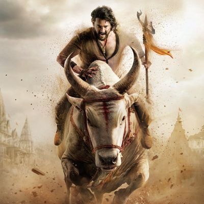 SLNmass's profile picture. 