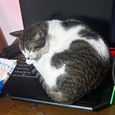 yinghaobro's profile picture. estoy usando @backpack. touch grass for a few week