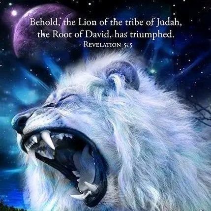 2sex_6's profile picture. من تابعني ولم اتابعه فل يعذرني، ومن تابعته وتابعني أشكره عل كرم المتابعة.  Infinite Beyond The Stars. متزوج من إب وأب لثلاثة أطفال مهذبين. ولنا بهم طاقة.