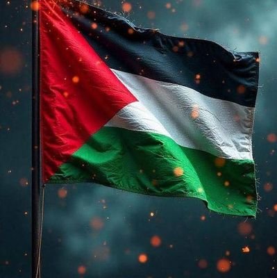 SoundStrider_'s profile picture. Holding Gaza in my prayers with love 🇵🇸