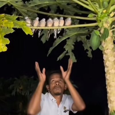 mekwenu's profile picture. Bridging worlds