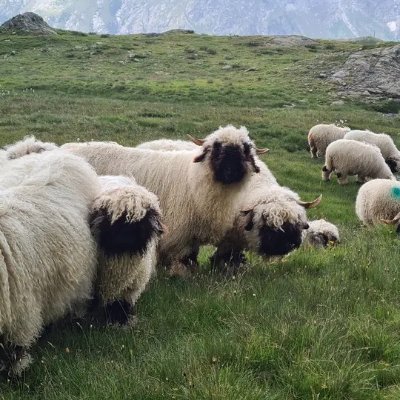 grisweg_b's profile picture. " Il n'y a qu'un bonheur dans la vie, c'est d'aimer et d'être aimé " - George Sand