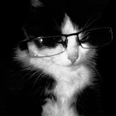 Giovandalismo's profile picture. 