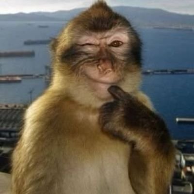 piacenzer's profile picture. @thzview block de 7 dias