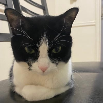 Morena0531's profile picture. 5 year old babyyy girl (DOB: 7/22/20 & GD: 11/08/20) living in New York, having my best life & getting everything I want ❤️