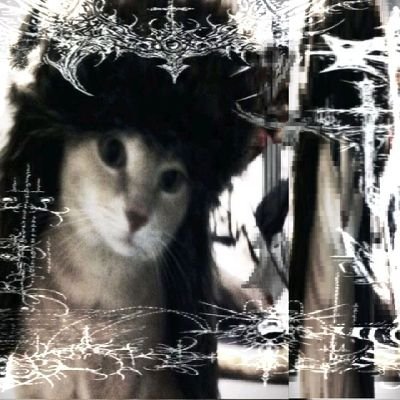 JugadorDeMM2's profile picture. 