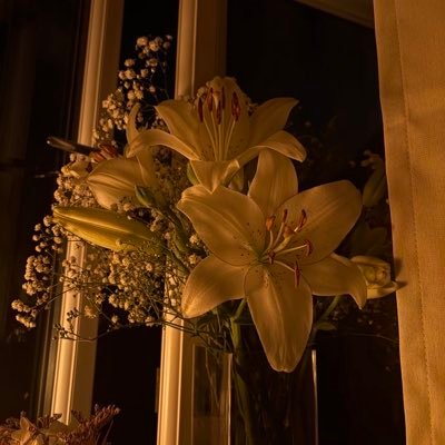 fi7_o9's profile picture. لا بأس