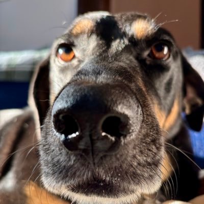 LMthedrummer's profile picture. Film & Video Editor