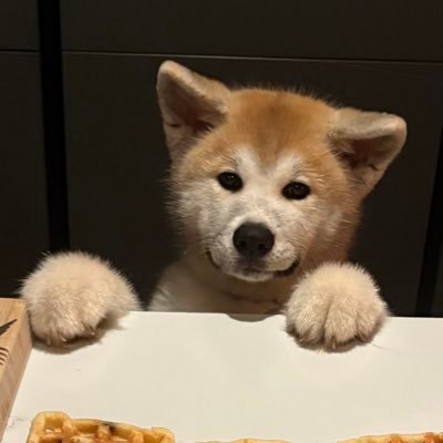 rantmeister67's profile picture. hoi nazi. ja, jij joden hatende nazi. kom je even kijken nadat je wat stoute woordjes hebt moeten slikken?