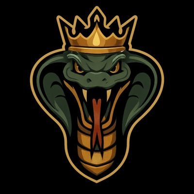 KingViPrBT's profile picture. 26 | Competitive @CallofDuty Player for @RatedKings | 17x OLT🏅, 2x OLL🏆 | Main AR | ✝️
