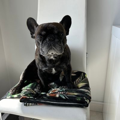 MartineWar60126's profile picture. 