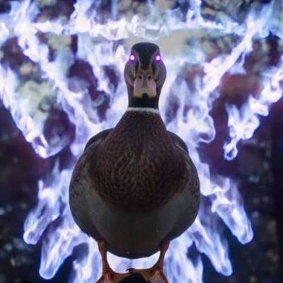 SnopySZN's profile picture. Player for @astraclub_ | 100$ | 🎮 Console