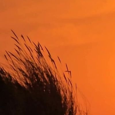 ad_yousafxai's profile picture. Salute to the soul who walked into the fire so others could walk free.