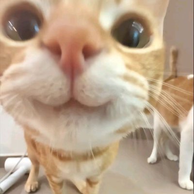 diraaazahraa's profile picture. ITB ~ Undergrads
Imperial College London & MIT ~Postgrads
Living her dream and best life