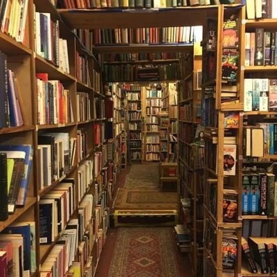 cel_koc's profile picture. 