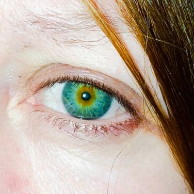 CrockOf_Gold's profile picture. Éire go Brách 
🇮🇪🇮🇪🇮🇪🇮🇪🏴󠁧󠁢󠁳󠁣󠁴󠁿🏴󠁧󠁢󠁳󠁣󠁴󠁿🏴󠁧󠁢󠁳󠁣󠁴󠁿🏴󠁧󠁢󠁥󠁮󠁧󠁿 Objecting to extinction =racial supremacy apparently