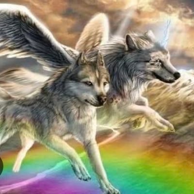 Cumhuritf23's profile picture. FETÖCÜ❗KEMALİST’SEN ❗ Kısacası Vatan Hainiysen Hesabımdan 📡UZAKDUR‼️