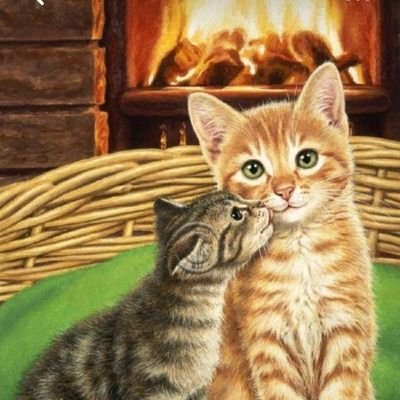 BHeartX2026's profile picture. 