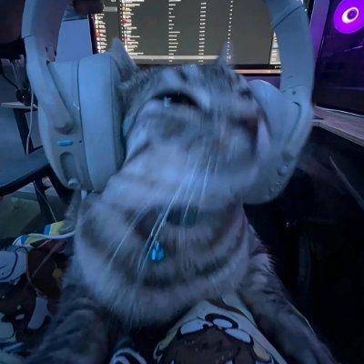 coktaseyyapma_'s profile picture. her gün yeni videolar eğlence amaçlıdır 🥊
günlük adranalin dozu🔥kavga dövüş sokak dövüşleri 💪