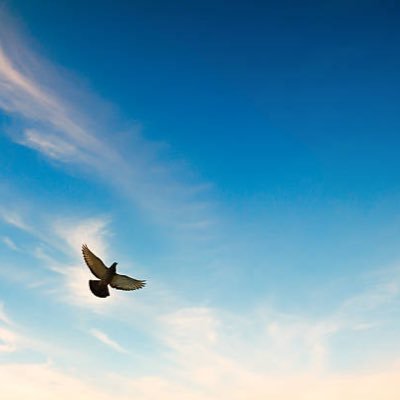 RiseToTheTop_BB's profile picture. 22歳無職からの逆襲 ボディビル ベーシックインカム賛成派 仮想通貨超初心者 168.5cm80kg 年間休日48日