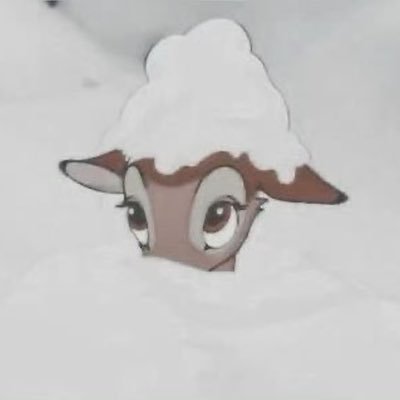 vanishingpetals's profile picture. 