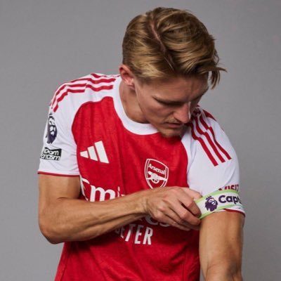 afcfern's profile picture. mainly arsenal and lando norris